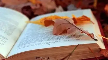 伸手要的都是多余说说文案