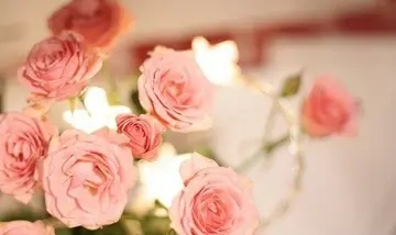 气质语录文案经典语录文案