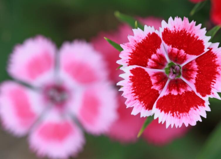 外宣赚钱正能量句子文案