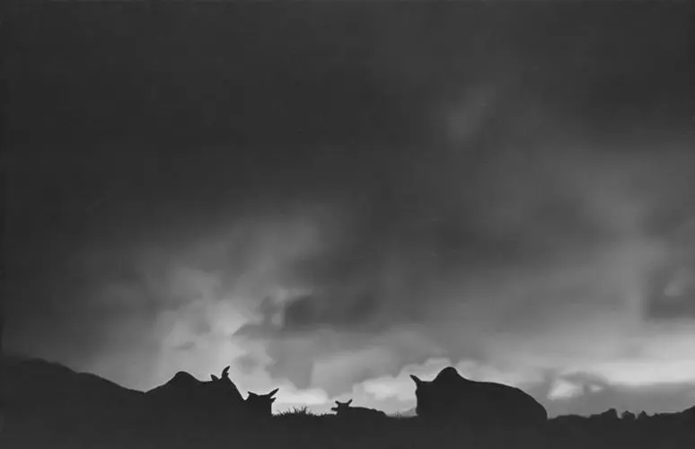 形容天气阴沉的句子文案