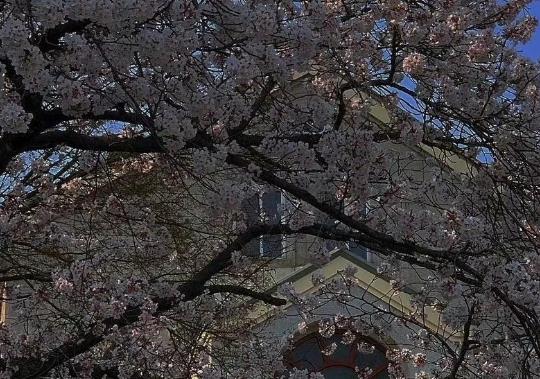 能让人秒哭的丧文案