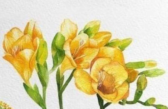 个性签名女生阳光气质