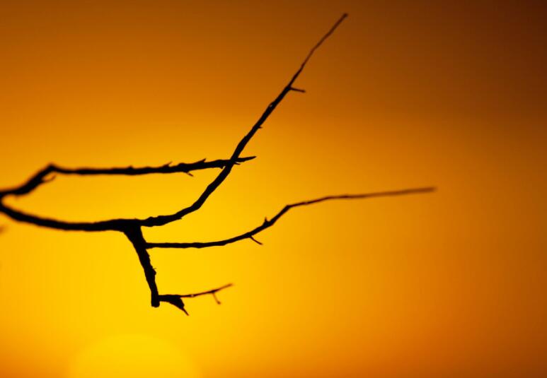 环境描写摘抄大全