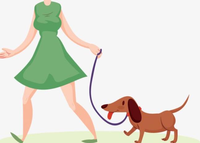 饭后遛狗的心情说说文案