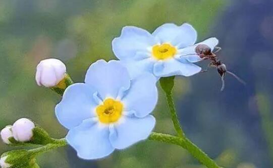 微信群励志早安问候语