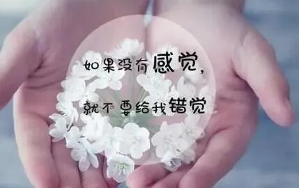 看见你伤心我好心疼的句子文案