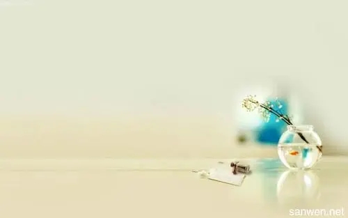 兴趣爱好的唯美句子文案