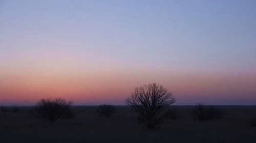 离别不舍又必须走的诗