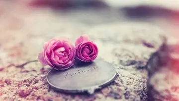 工作心态正能量句子文案一句话