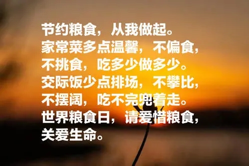 节约粮食的句子文案简短