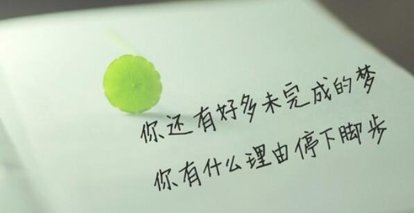 做好自己的励志句子文案