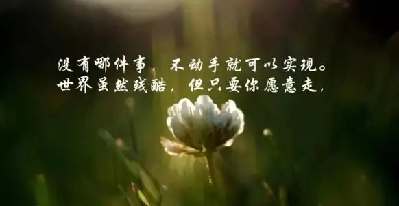 心灵富足的美好句子文案