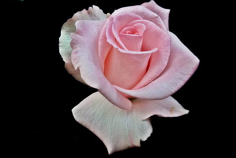 关于两人感情的话语