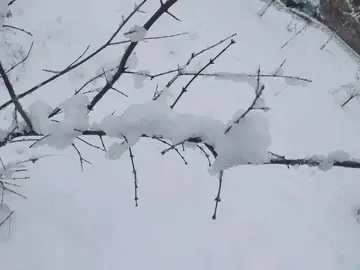 春雪美景说说文案