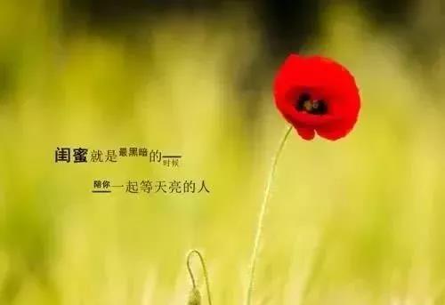 祝福朋友幸福的句子文案简短