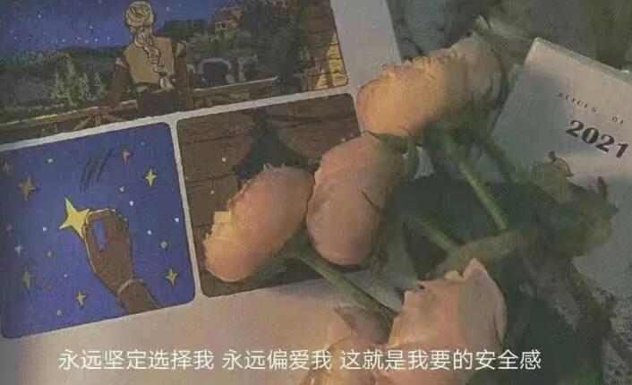 关于偏爱的情感句子文案