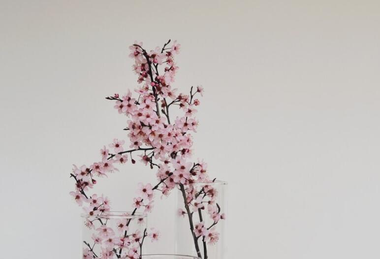 夸小孩笑得灿烂的朋友圈