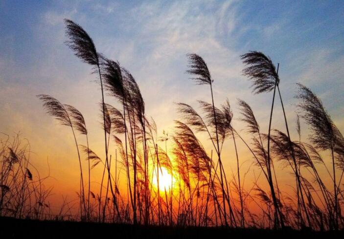 描写黄昏的唯美句子文案伤感