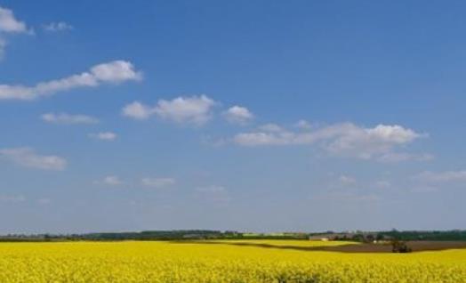 关于防中暑的句子文案