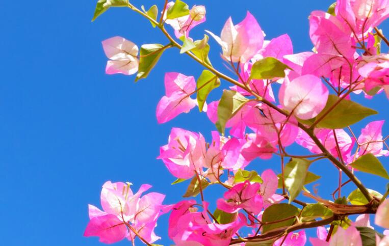 抖音励志文案致自己