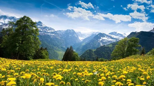 经典文学作品摘抄段落