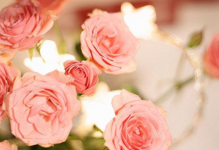 高情商说早上好的句子文案