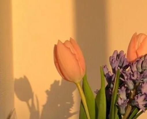 优美名言摘抄大全简短