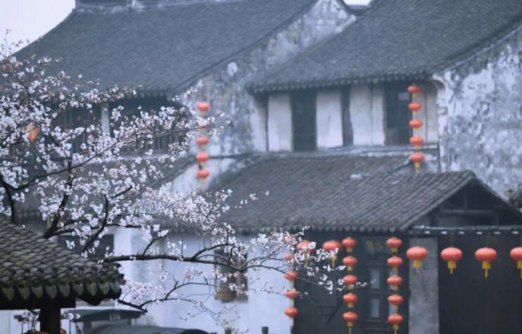 形容落花的唯美句子文案