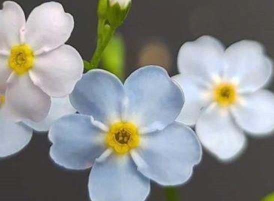 关于七月的唯美句子文案