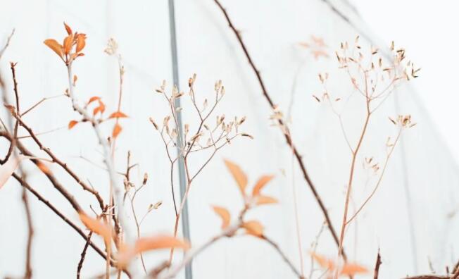 很美的句子文案读到心碎