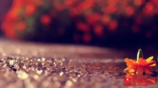 征婚的个性签名说说文案