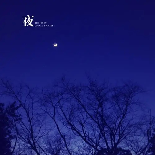 夜深人静说说文案心情短语