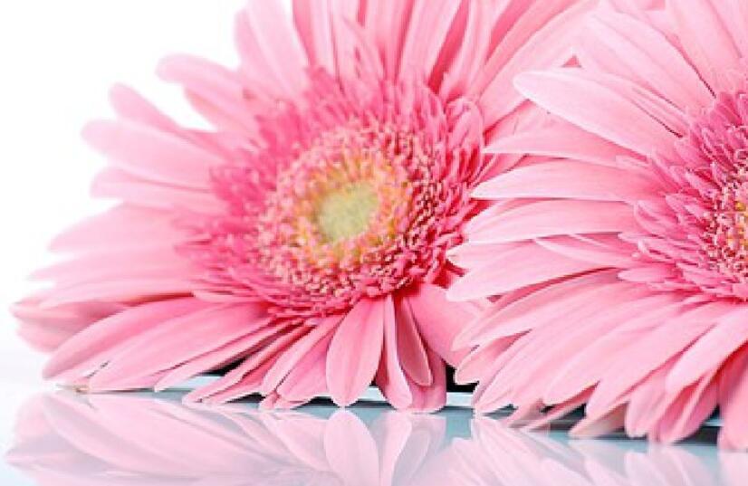 经典语录文案励志人生感悟