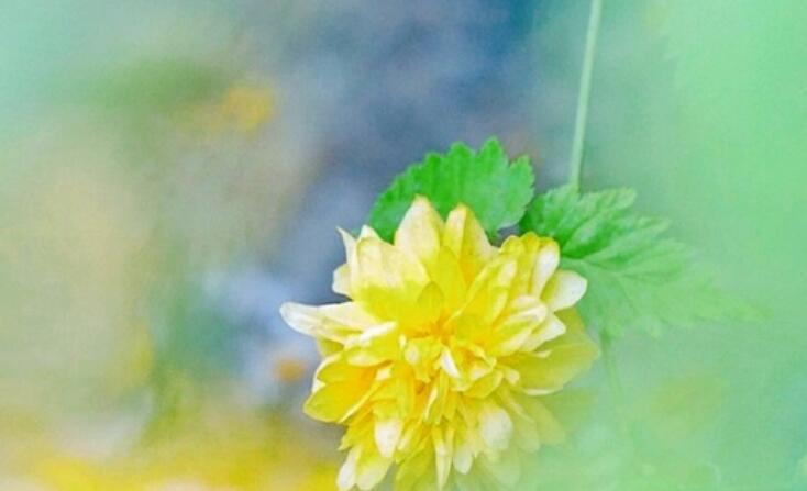 拍了套古装怎么发说说文案