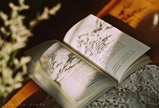 唐诗三百首李白的诗