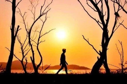 刷存在感的说说文案幽默