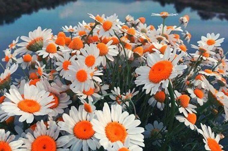 有深度高智商简短语句文案