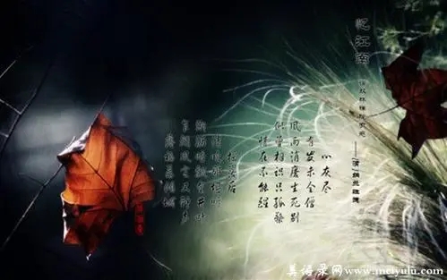 经典抒情诗句文案大全伤感诗句文案