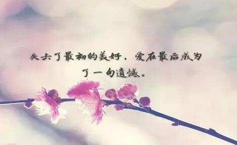 跌倒两次的语录文案