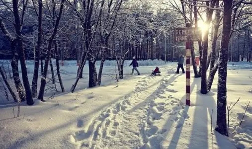 春天下雪的心情说说文案