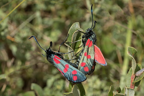 每天早上一句温暖的情话文案