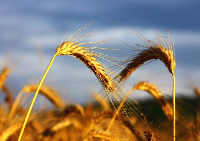 关于劳动的名人名言