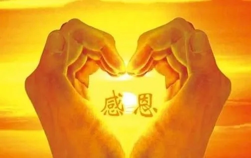 感恩父母的信100字