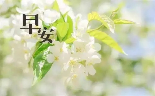 早安奋斗正能量的句子文案2024