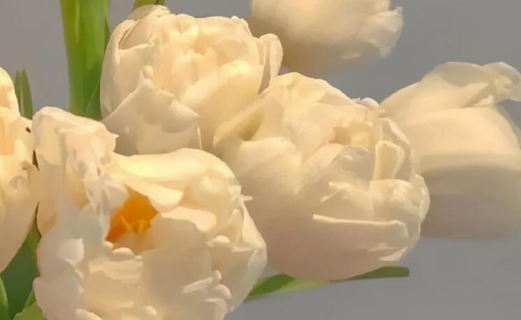 适合中学生摘抄的句子文案有修辞