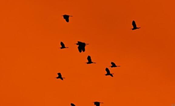 学生感悟经典句子文案简短