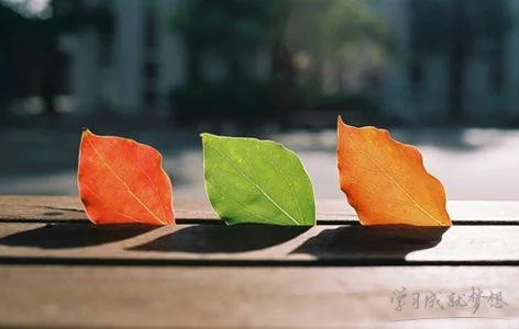 富有哲理的句子文案长句