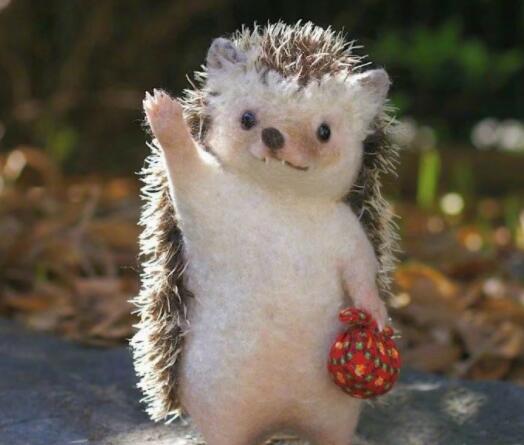 刺猬唯美句子文案