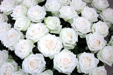 外婆一路走好的句子文案