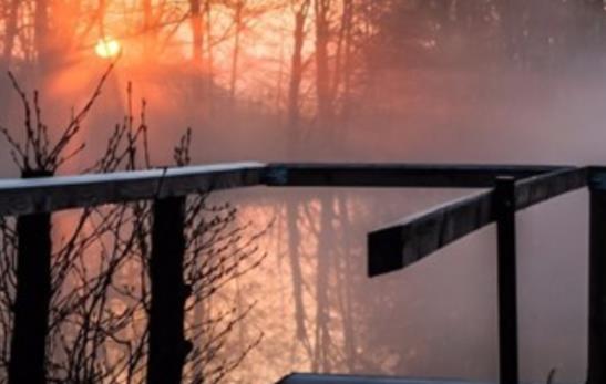 无可奈何的爱情经典句子文案